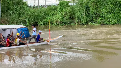 Độc mộc Bung Kok nhịp nhàng trên dòng sông của mình 🔥🥰#soctrang #fyp #xuhuong #duaghengosoctrang 