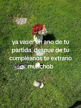 #LIVEIncentiveProgram #LIVEwithlowfollowers #PaidPartnership 