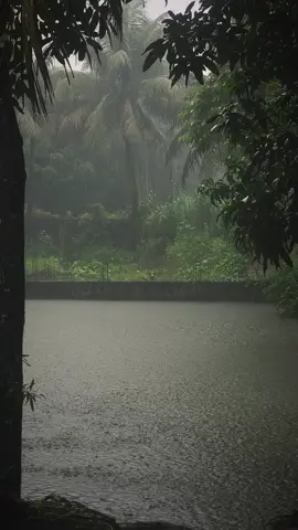 কেউ যত্ন করে পাথরে ফুল ফুটায়, কেউ অযত্নে ফুল কে পাথর বানায়। #foryoupage #viralvideo 