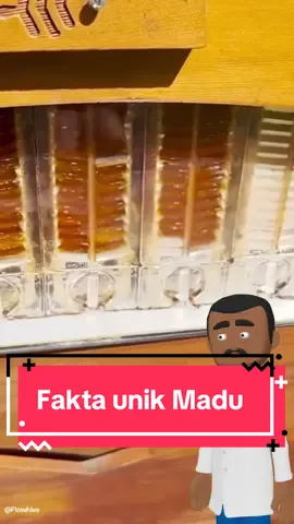 Madu tuh makanan abadi yang nggak pernah basi. Komen fakta makanan apa lagi yang mau di bahas #FaktaUnik #StoryMakanan #madu 