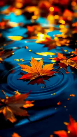 #fup #viral #keşfett #payız #keşfetteyizzz 