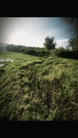 隻小手遮不住所有的陽光，一小步遮不住每個人的心。 