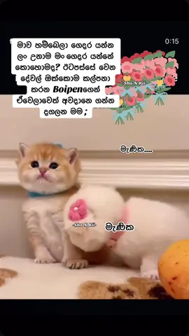 #creatorsearchinsights 