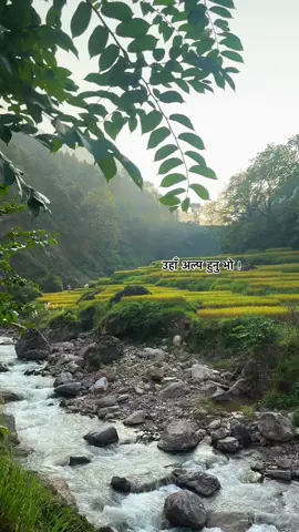 उहाँ > उनि !. ..,           .: ..      . … ….      . ….                   .. ….           … #bikusir🤍 #sankhuwashabha #mawadin #fyp #craterinsight 