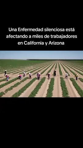 Una Enfermedad silenciosa está afectando a miles de trabajadores en California y Arizona. #fiebredelvalle #estadosunidos🇺🇸 