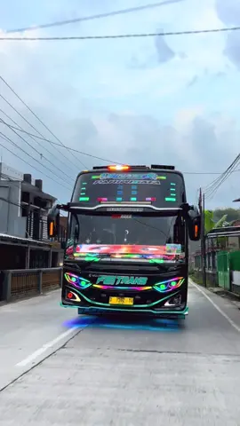 ieu nu rame teh🗿 #bukitberbunga #bukitberbungabasuri #fajar61trans #dinasty #huntingbus📸 @Fajar_trans61 @ofc.dinasty_fajar61 @muhammadfadlaaaaa 