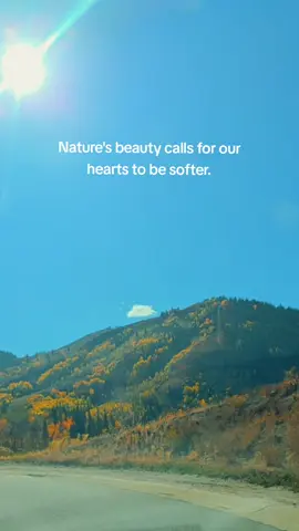 Beauty is all around us and inside us. Leading with kindness takes courage.  #bekind #bethechangetheworldneeds #autumn #parkcity 
