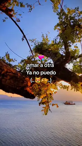 #viralvideos #fyppppppppppppppppppppppp #dedicar 