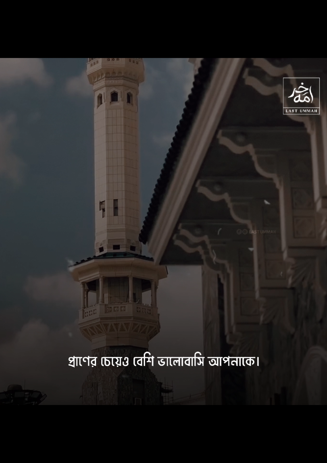 ভালোবাসি ইয়া রাসুল আল্লাহ প্রাণের চেয়েও বেশি ভালোবাসি আপনাকে সাল্লাল্লাহু আলাইহি ওয়াসাল্লাম। 🤍✨ . . . কন্ঠ— ইরফানুল ইশরাক  লেখা— আবিদ হাসান  /  @ᥫ᭡নাসিহা'ত_আবিদ🕊️  . . . Tags ✨  #last_ummah_09 #foryoupage #unfreezmyaccount #fypage #islam 