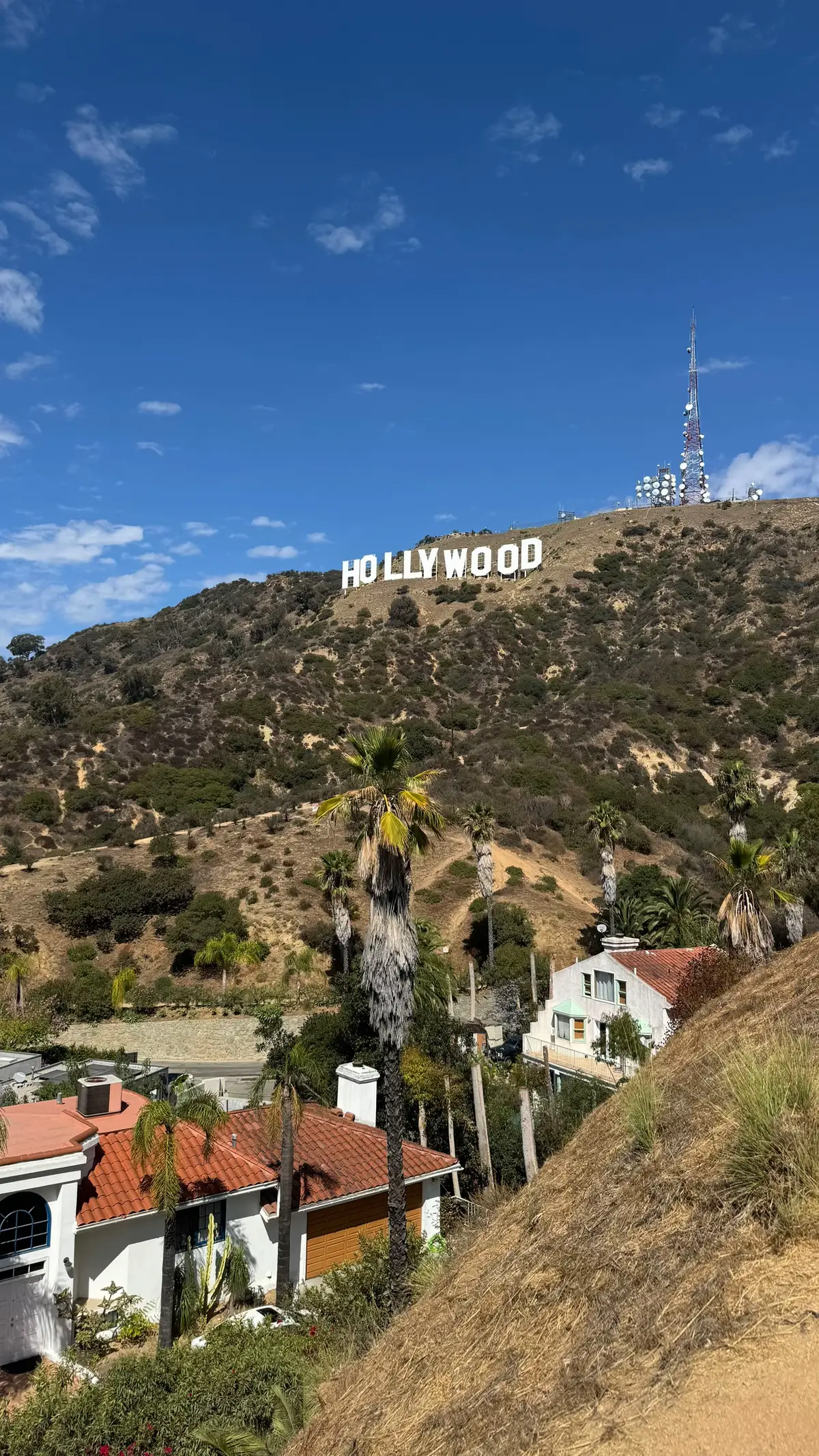 #LosAngeles #beverlyhills #cali #californiaadventure #losangelescalifornia 