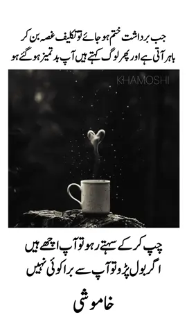 سچ کو تسلیم کرنا سیکھو 😏😏#tiktokaccountviral #fyppppppppppppppppppppppp #creatorsearchinsights #foryoupage #1million 