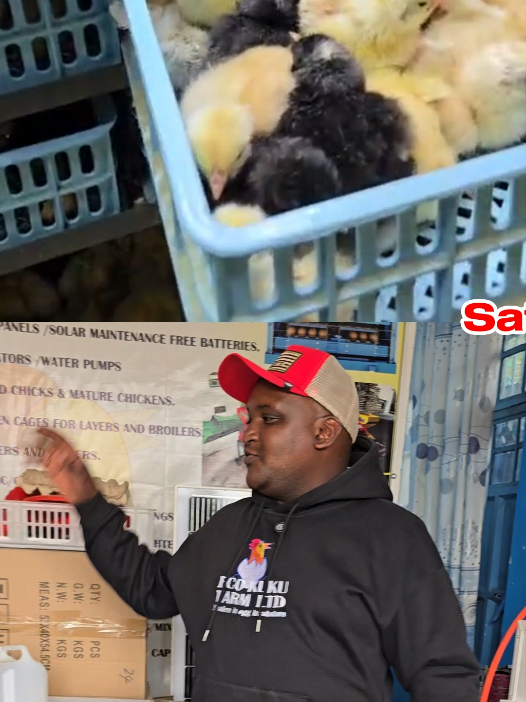 Our egg incubators rarely disappoint! we offer a 1 year warranty with all incubators and ensure you get great results. order one today and get it delivered free countrywide! call us on 0710 905 696 #foryoupage #poultry #kilimo #poultryfarmer #poultry #chicken #kenyantiktok🇰🇪 #eggincubator