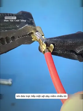 Mẹo nhỏ cuộc sống