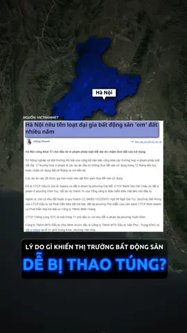 Tại sao thị trường BĐS dễ bị thao túng đến thế? #nqs #tintuc #tinchuanluon #giaitri #fyp 