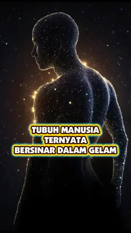 Tubuh itu punya cahaya lho😊🤗 #Tubuhmanusia #Tubuhbercahaya #Dahsyatnyamanusia