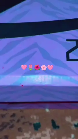 @ZevmaOfficial #zevmapink #produklokal #futsalindonesia #futsal #fyp 