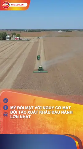 Mỹ đối mặt với nguy cơ mất đối tác xuất khẩu đậu nành lớn nhất #htvtintuc #htvnewz #htv #xuatkhaunongsanmy #kinhtemy