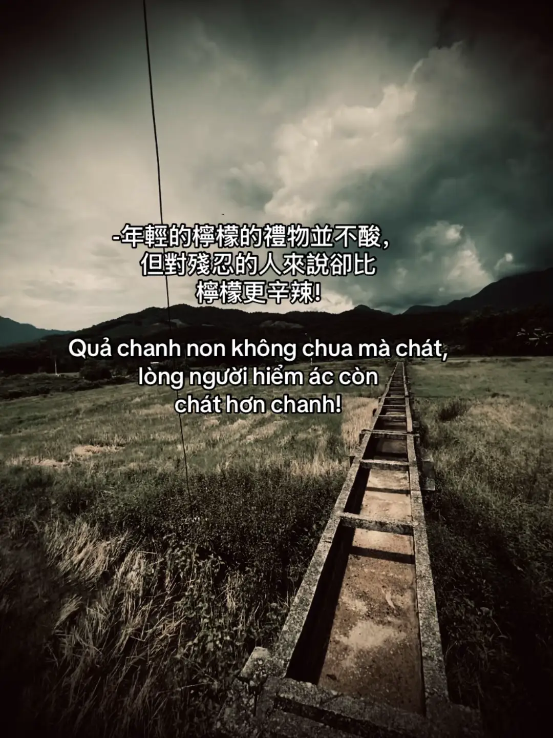 -年輕的檸檬的禮物並不酸，但對殘忍的人來說卻比檸檬更辛辣! Quả chanh non không chua mà chát,lòng người hiểm ác còn chát hơn chanh!