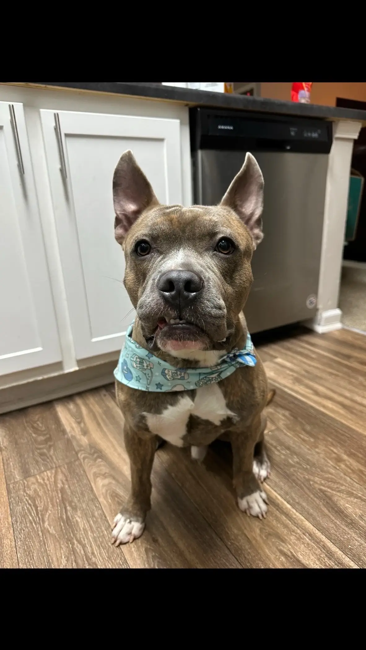 This boy saved me and I saved him :))