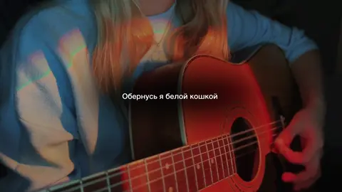 Мельница - белая кошка 🐱✨ Полный кавер этой песни можно послушать в моём тгк канале: Nnssttty✨ #recomendation #cover #fypシ #гитара #мельница 