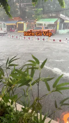 Mưa gió này khóc trong lòng 