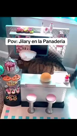 Pov: Jilary en la panaderia #fyo #panadero #gatos