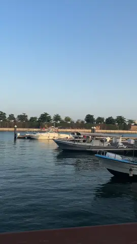 أوقات بنحتاج ل أزمة ل توضح الأمور .. شكرا ل الأزمات  