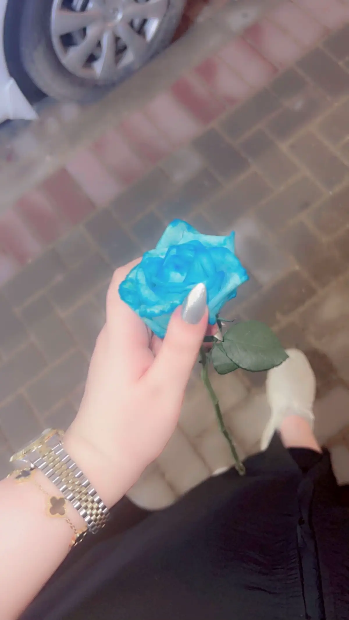 #bbbbbbbbbbbbbbbbbbbbbbbbbb #مالي_خلق_احط_هاشتاقات #🥹🥹🥹 