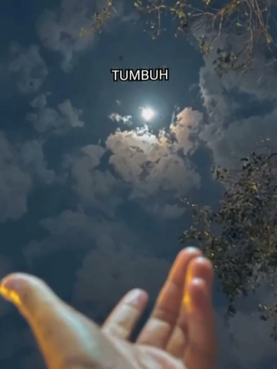 #CapCut #fypage #masukberanda #muhammad #sahabatfillah 