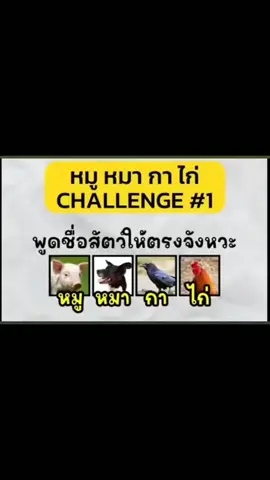 #ดูเอ็ทกับ @Jaoneey 458 