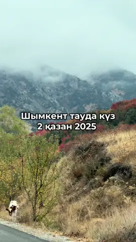 Шымкентен 50км жерде СайрамӨгем табиғи паркі 2 қазан 2025 жыл  #шымкент #түркістан #түркістаноблысы #күз #тау 