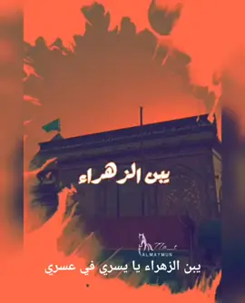 #يارب #يا ابن الزهراء #fyp 