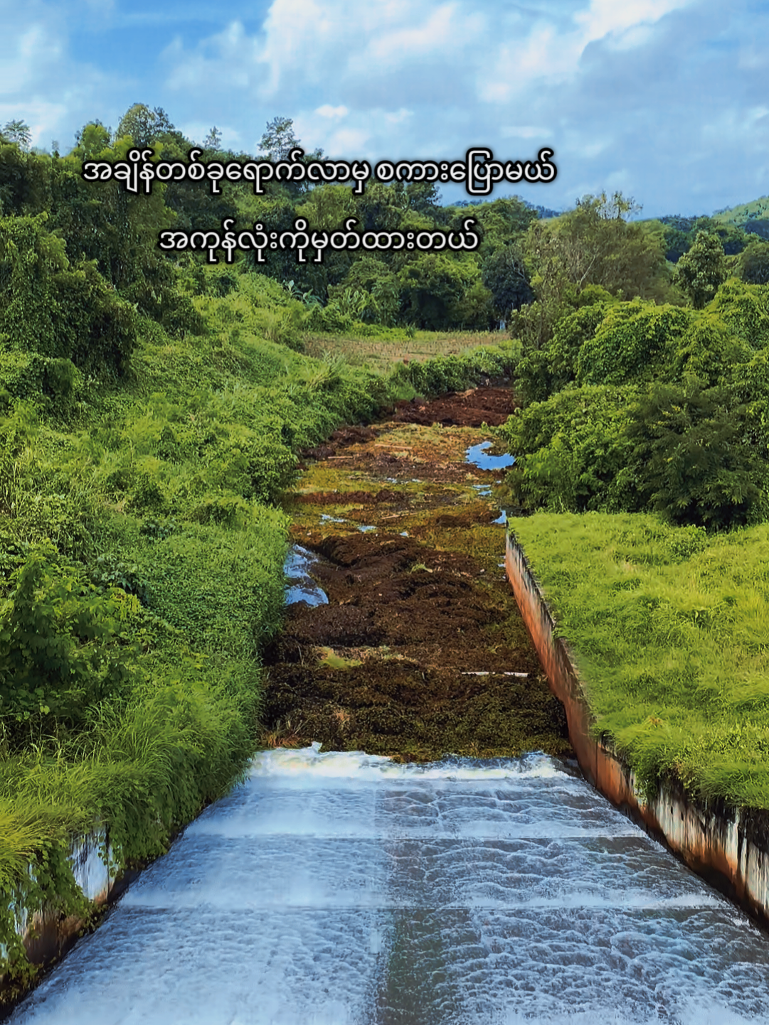 အကုန်လုံးကိုမှတ်ထားတယ်😉 #foryou #fyp #tiktokmyanmar #nature #အချိန်တစ်ခုရောက်လာမှစကားပြောမယ် 