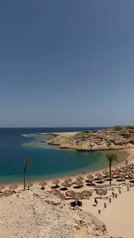 Welcome to calm, welcome to your reward 🌅🐠 #SivaGoldenBayMakadi #Makadi #RedSeaHotels #Egypt #RedSea #Travel