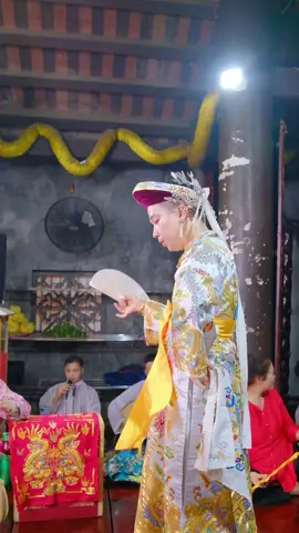 Văn Cô Bơ #cobo #thanhhoa #cauhungthachban #tiktok 