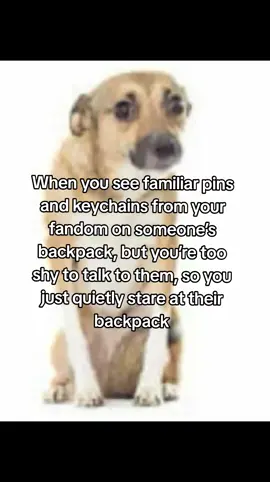 For me, it's real 😭#pins #real #fandom #fy #foryou 