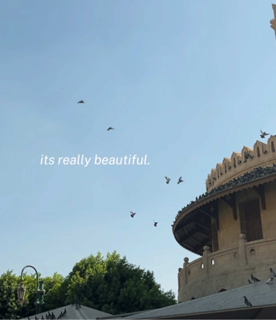 it's really beautiful🥹💕 #egypt #mesir #view #masisir #fyp 