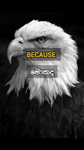 Respect your haters 😈🔥#motivation #success #life #selflove #attitude 