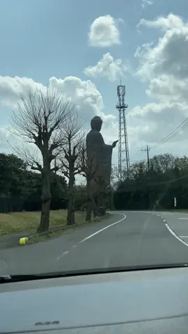 Nam mô a di đà phật 🙏🙏🙏#ushikudaibutsu 