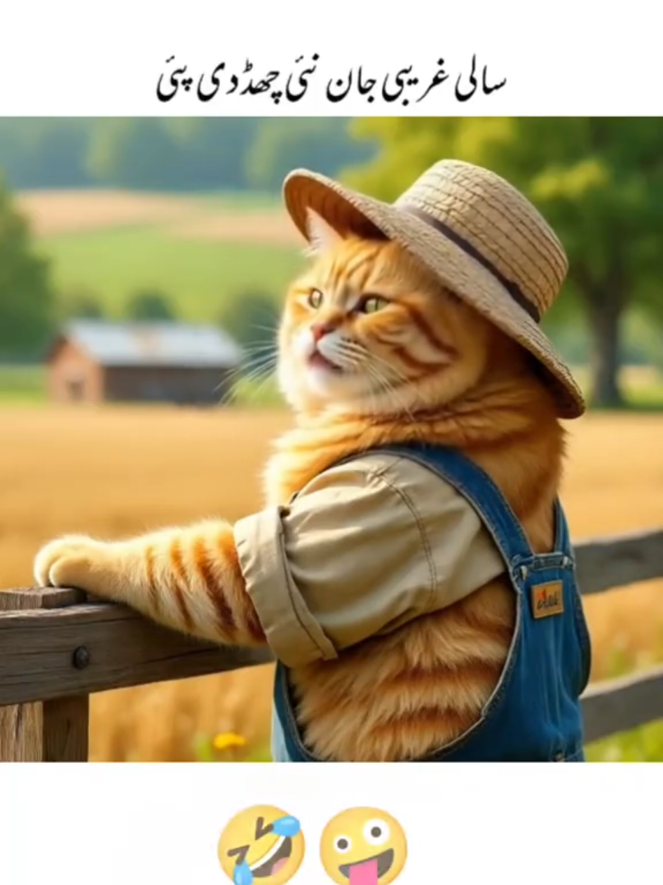 #forypupage #fypシ゚viral🖤tiktok☆♡myvideo❤️🥰 #funnyvrmoments #🤣🤣😂😂😂😂😅😆😆😁😄😄😃😀😀😄😆😂😂🤣 @Funny clips 🤪 