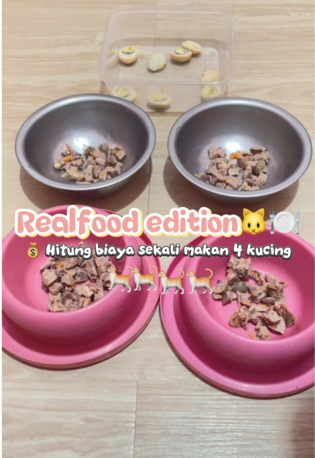 Hari ini aku coba hitung biaya sekali makan 4 kucing dewasaku (versi realfood) ternyata nggak semahal yang aku kira😆 Apalagi kalau dicampur dengan wet food dari Mr Vet Omega 3.. teksturnya lembut, bisa dimakan segala usia, dan yang paling penting ada kandungan Omega 3 untuk kulit sehat & bulu nggak gampang rontok ✨ Kucing-kucingku lahap banget sampai habis tak bersisa. Cobain juga deh buat anabul kalian, langsung checkout di keranjang kuning yaw💛 @Mr.Vet Indonesia  #kucinglucu #mrvet #masukberandafyp #fypシ゚viral🖤tiktok #fypviral 