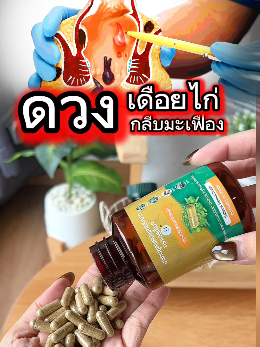 #คนมีดวง #เพชรสังฆาต #sn9เพชรสังฆาต #แคปซูลเพชรสังฆาต #กลีบมะเฟือง 