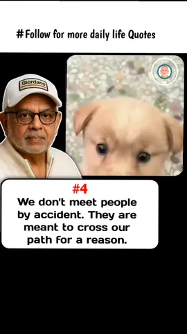 follow for more daily 