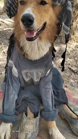 انتة شنو شغلك 🫵 #لا تنسو @ #اعادة_النشر🔃 #الشعب_الصيني_ماله_حل😂😂 #ترند #جان تيكتوك