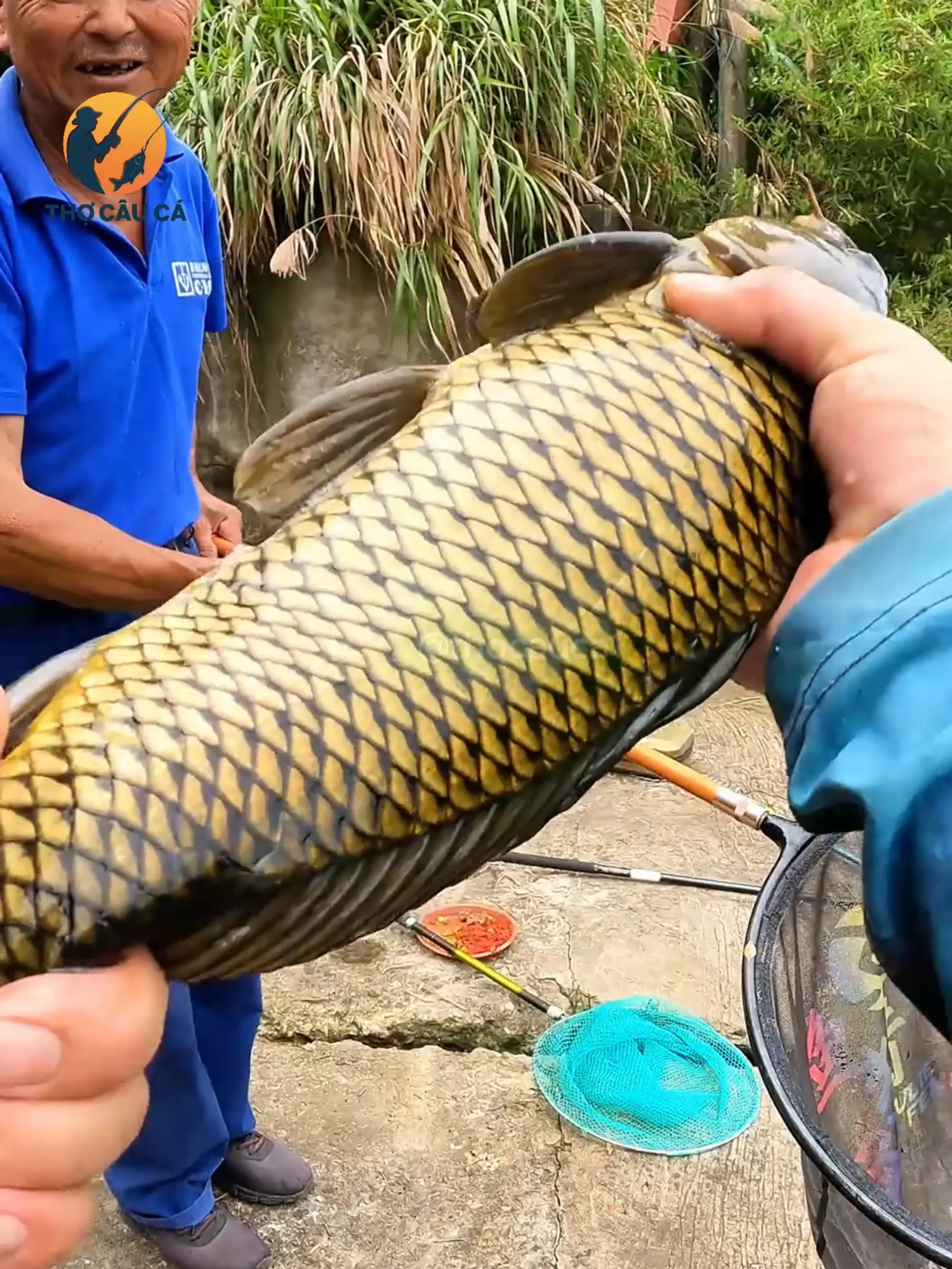 Cuối tuần rồi anh em vác cần đi câu chép thôi #caucagiaitri #caucatunhien #cauca #caucachep #xuhuong #xuhuongtiktok #fishing