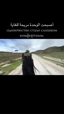 #инаходцы #лошади 
