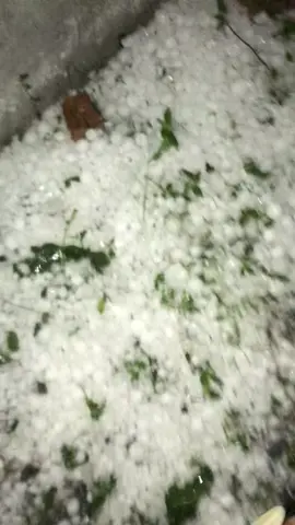 🌨🥹😭😭💔🤲🏻🤲🏻