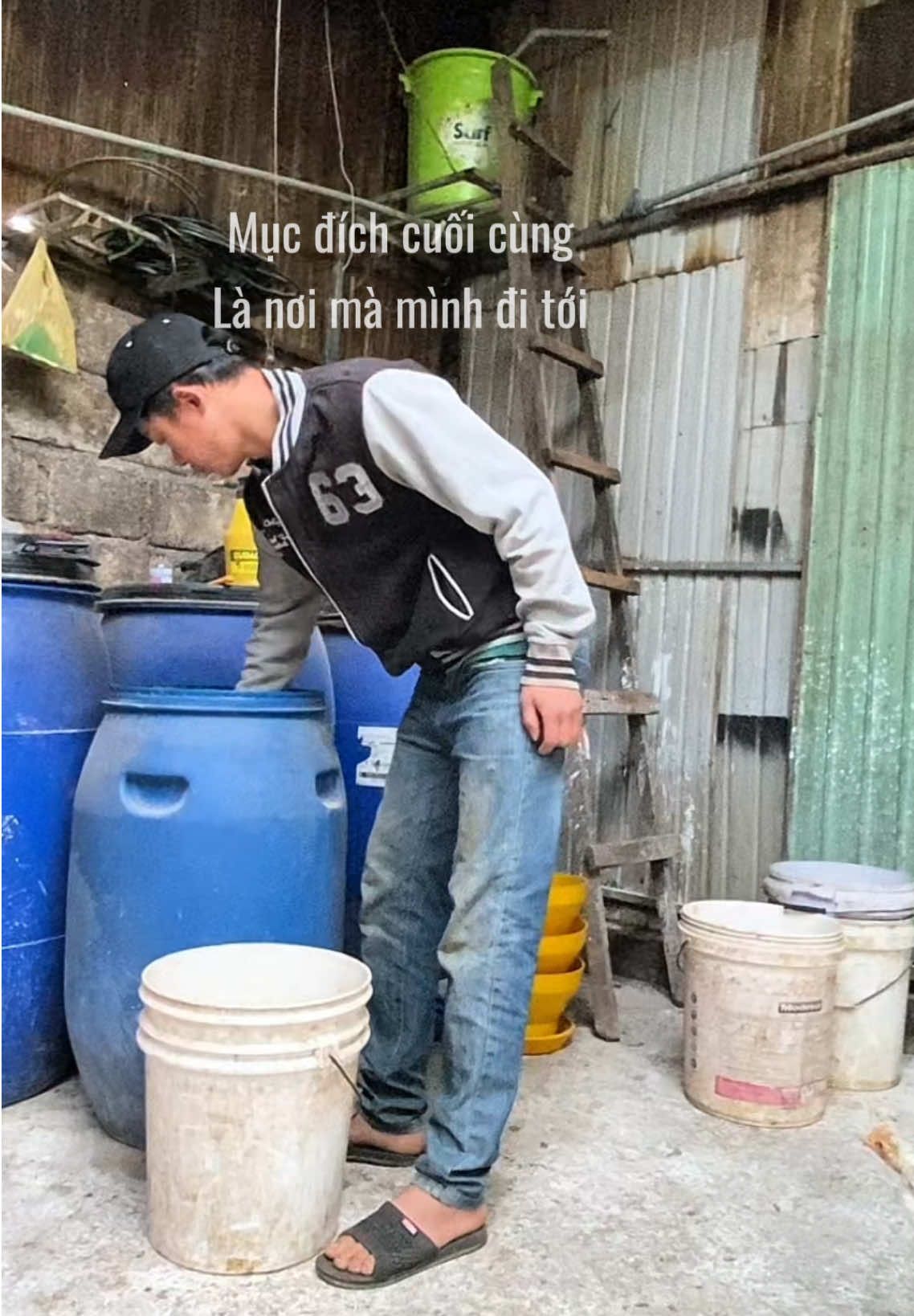 Chăn nuôi gà vi sinh #nuoiga #gathavuon #xuhuong 
