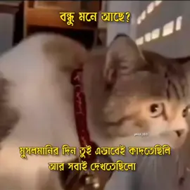 Mona ase ni Bondo 🤣 #foryou #viral #fyp #bdtiktokofficial #funnyvideos 