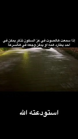 #اكسبلورexplore #هايبوزا #ترند #🇦🇪🇦🇪 #sharjah 